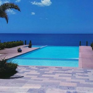 Meet your Posher, Josefina